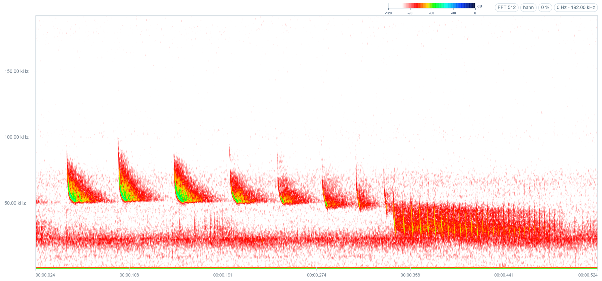 Spectrogramme d'un Minioptère de Schreibers